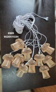 WhatsApp Image 2026 01 20 At 3.44.14 PM 1 2 183x300