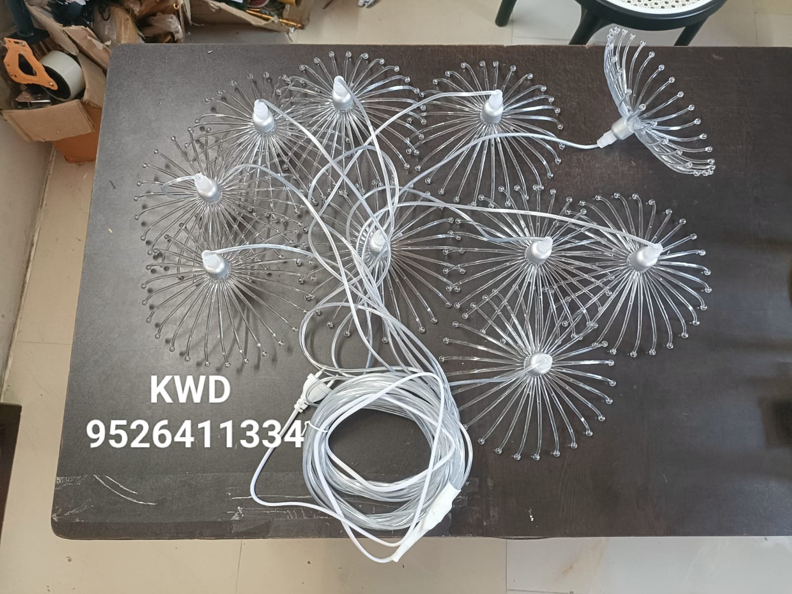 whatsapp image 2026 03 13 at 3.50.47 pm