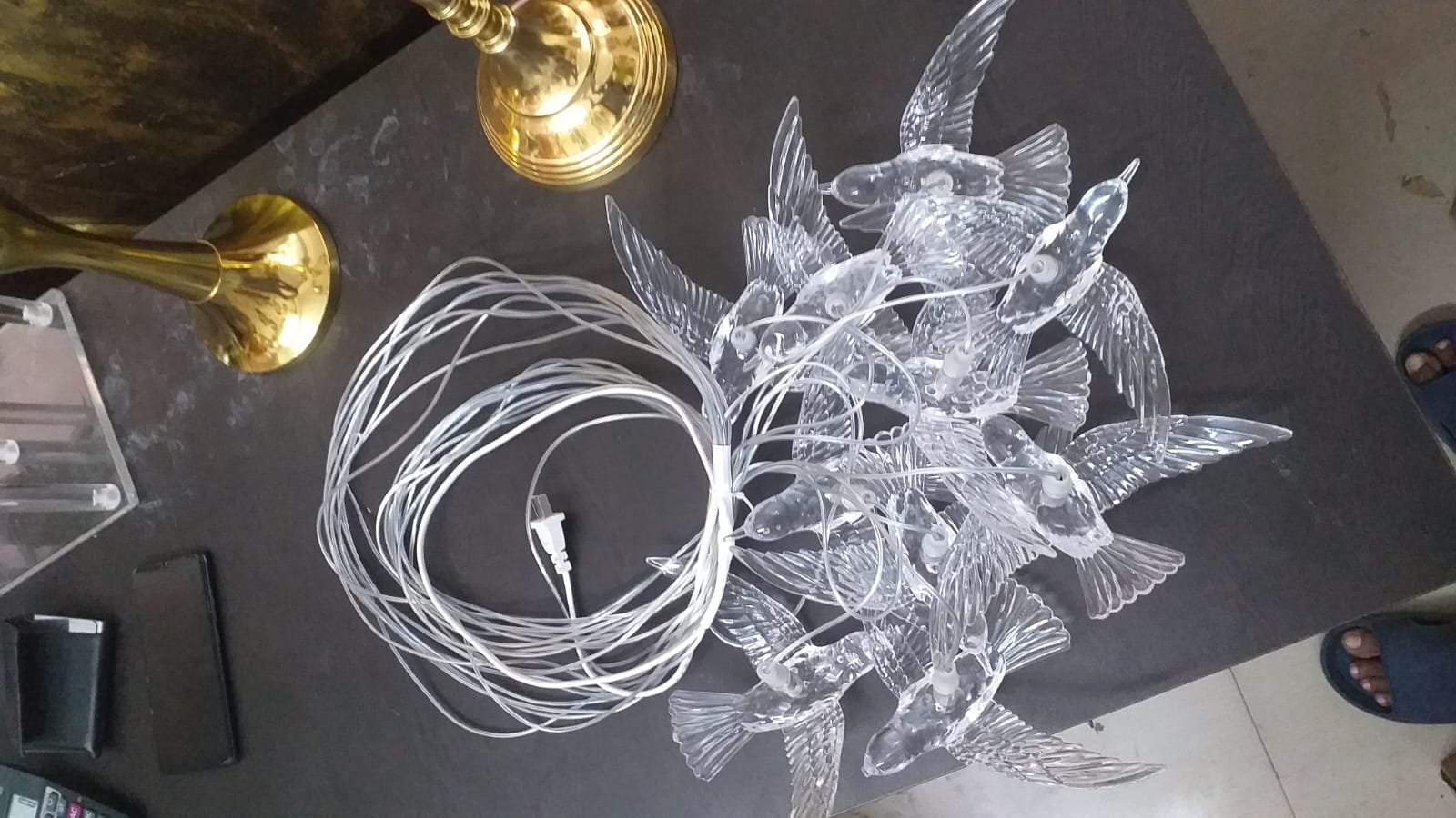 whatsapp image 2026 03 13 at 3.50.50 pm (1)