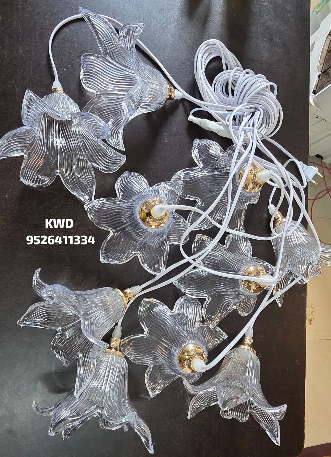 whatsapp image 2026 03 13 at 3.50.51 pm (1)