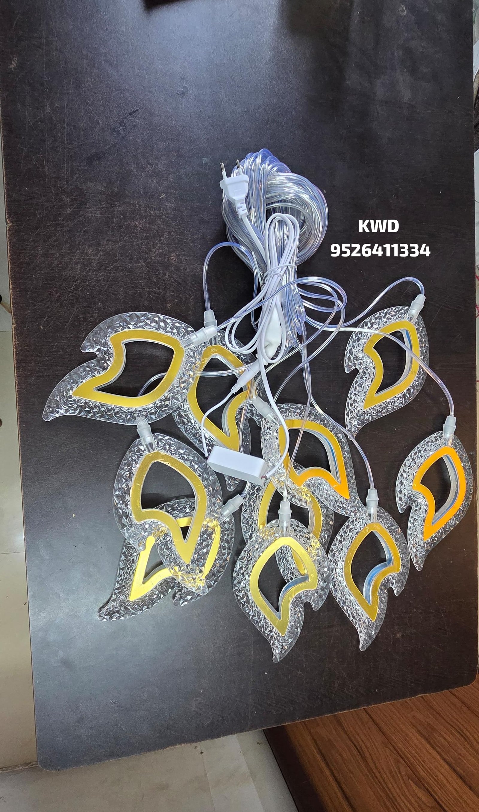 whatsapp image 2026 03 13 at 3.50.52 pm (1)