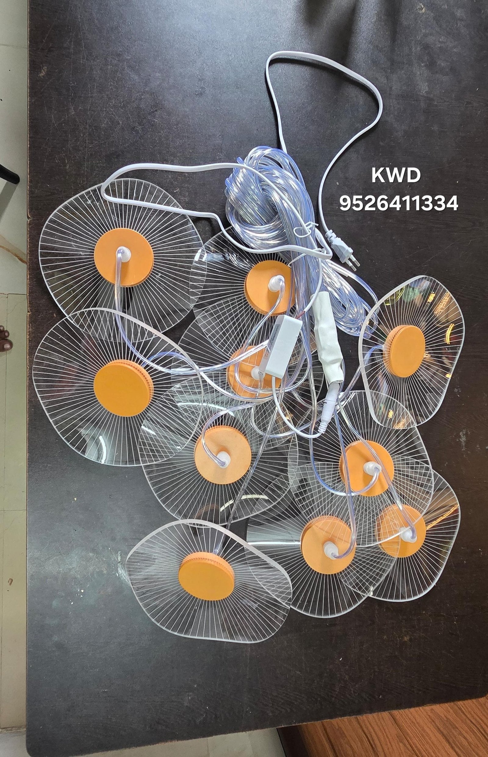 whatsapp image 2026 03 13 at 3.50.52 pm (2)