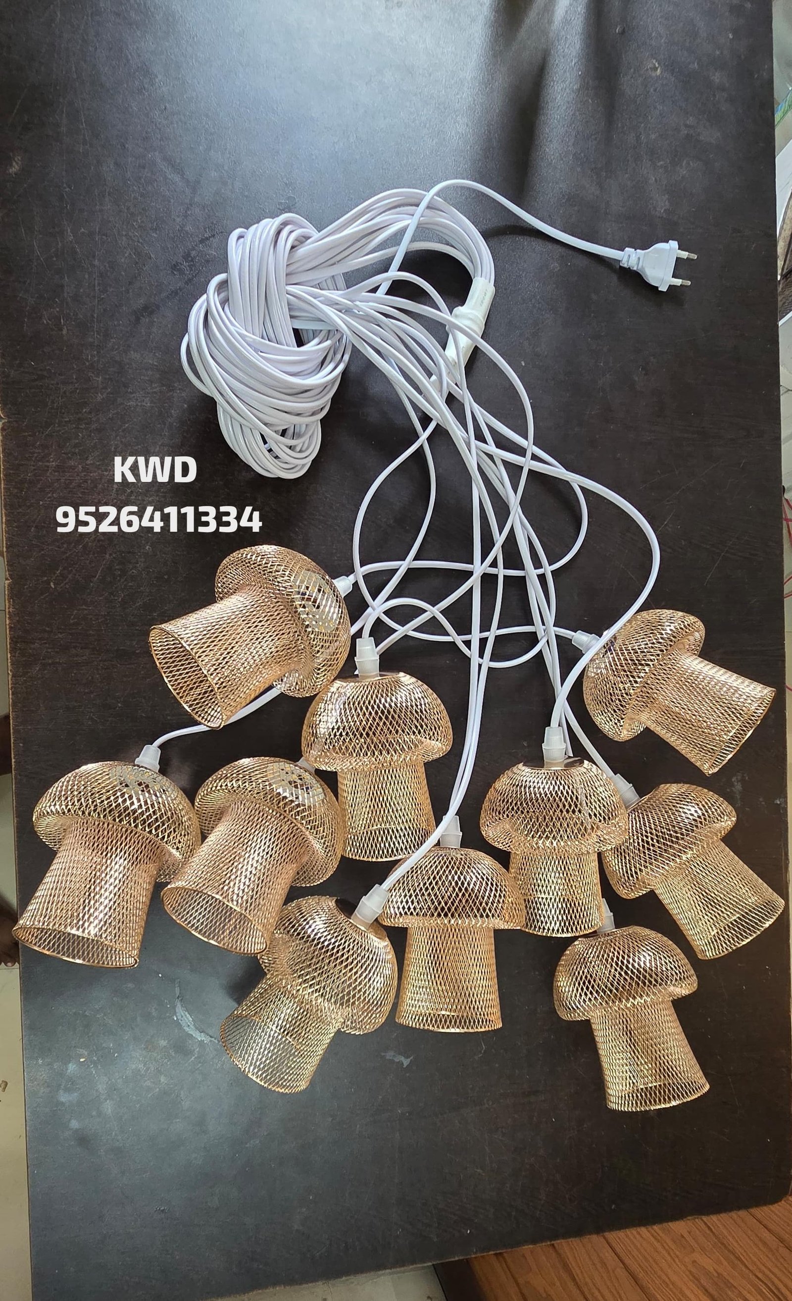 whatsapp image 2026 03 13 at 3.50.53 pm (2)