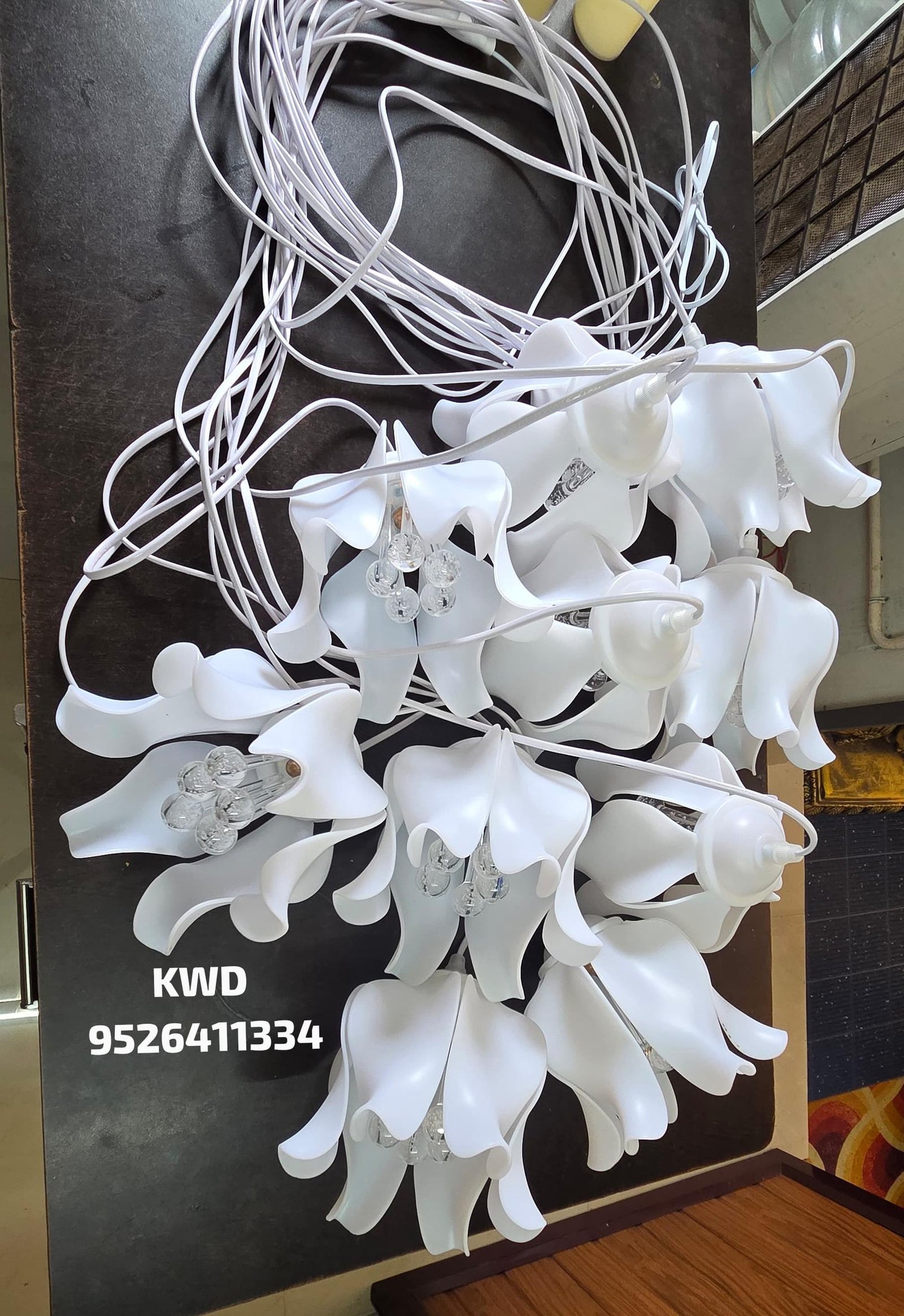 whatsapp image 2026 03 13 at 3.50.54 pm (1)