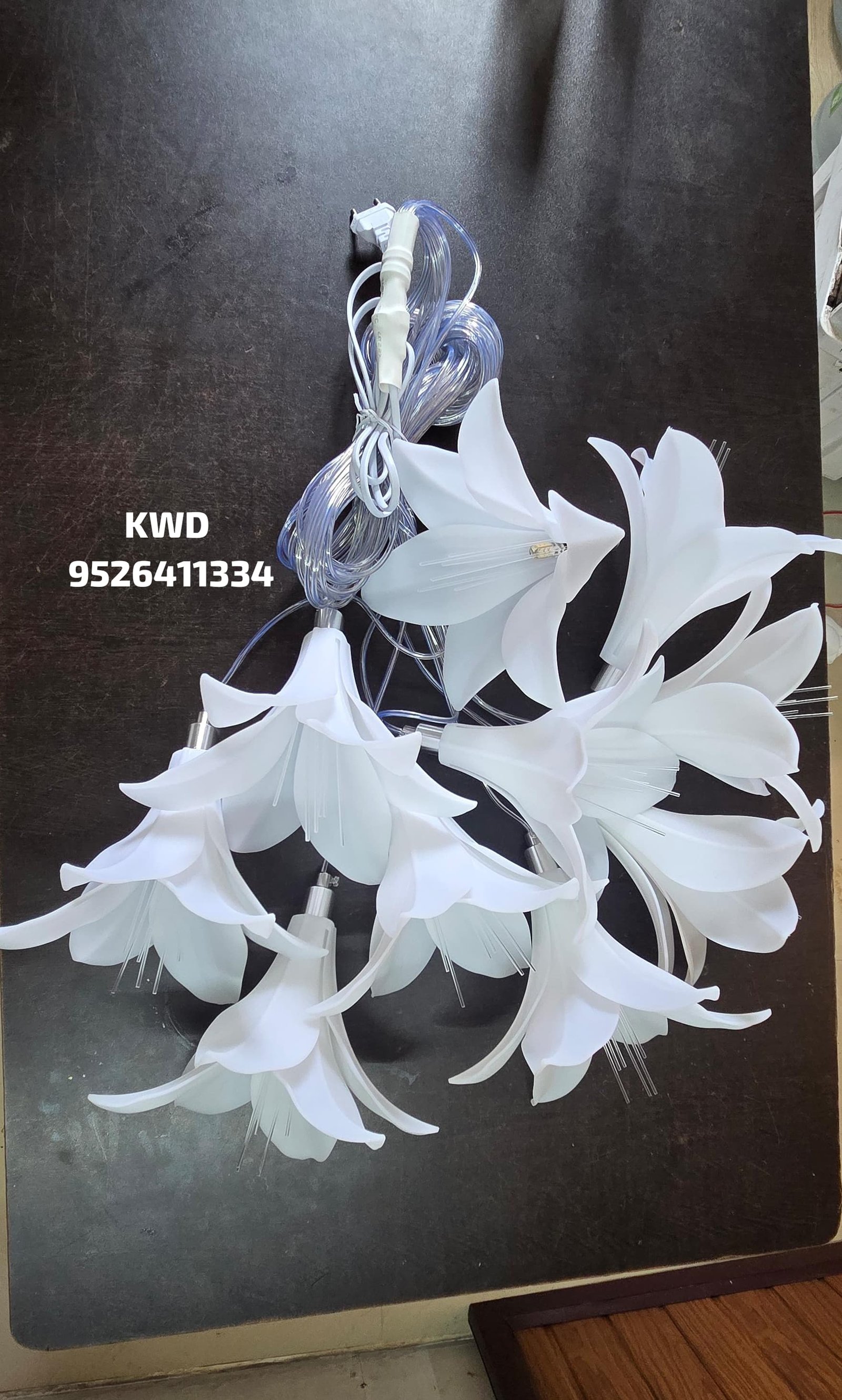 whatsapp image 2026 03 13 at 3.50.54 pm (2)