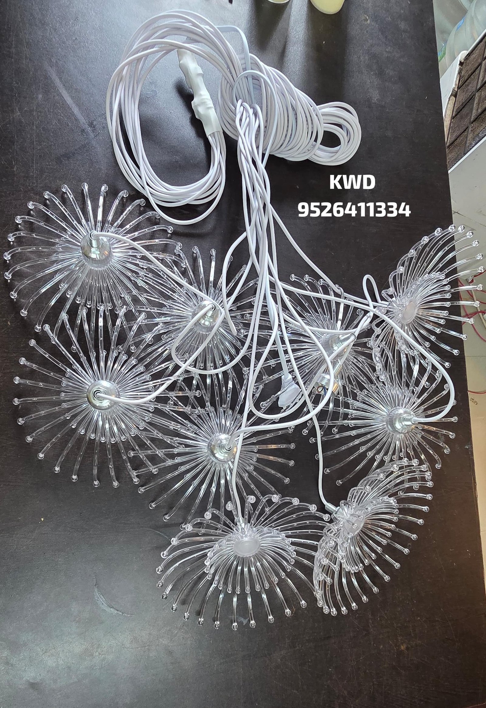 whatsapp image 2026 03 13 at 3.50.54 pm