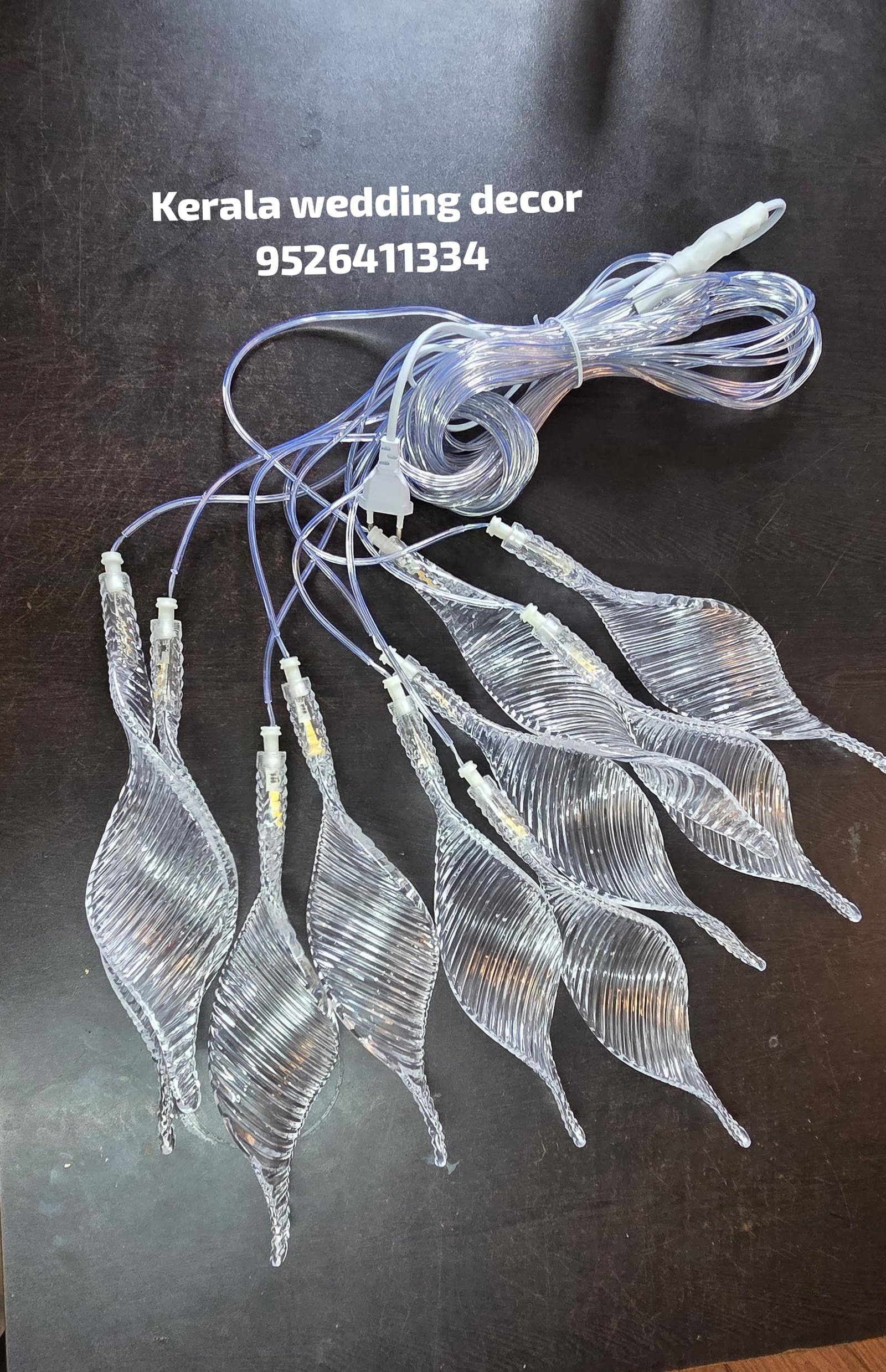 whatsapp image 2026 03 13 at 3.50.56 pm (2)