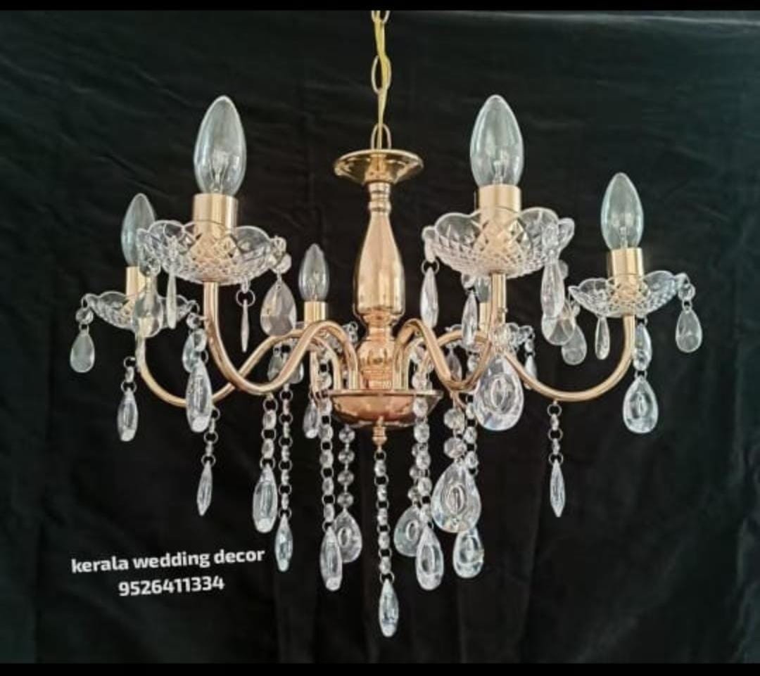 whatsapp image 2026 03 13 at 3.51.06 pm (2)