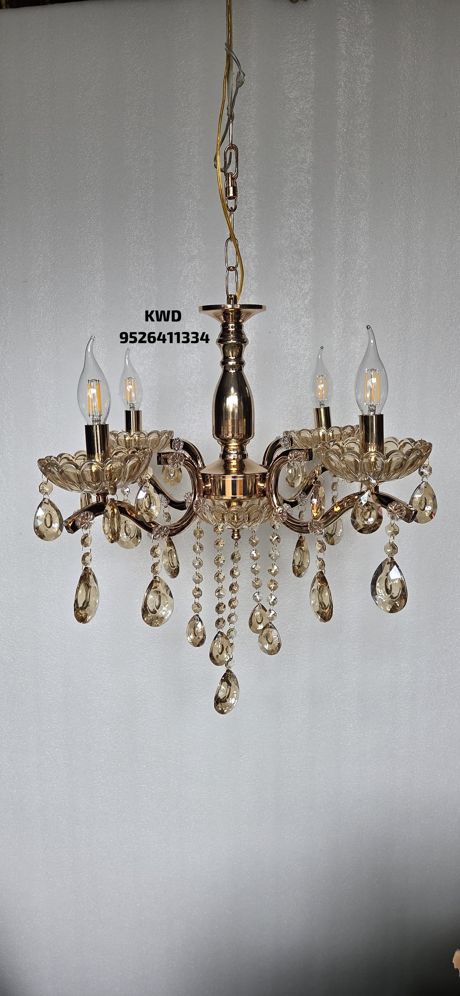 whatsapp image 2026 03 13 at 3.51.07 pm (1)