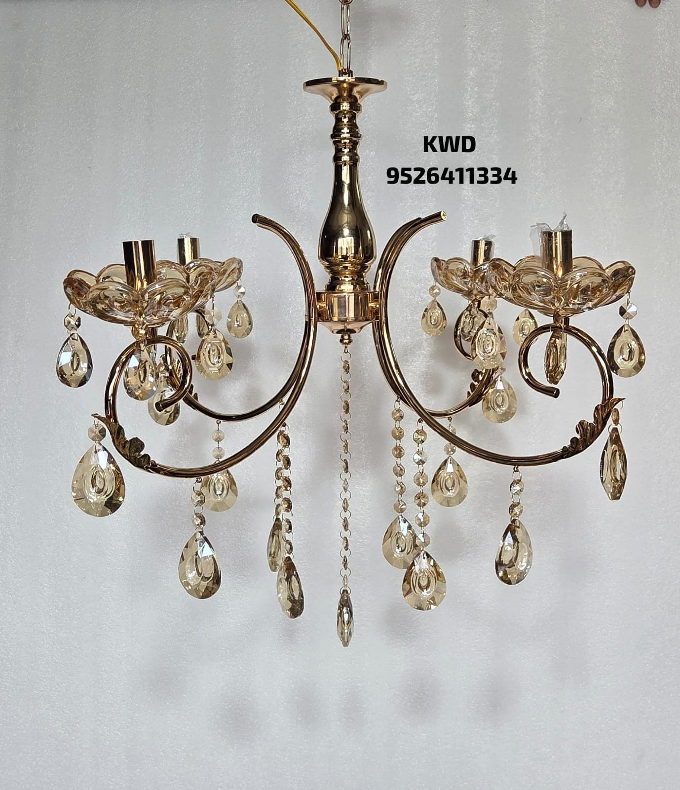 whatsapp image 2026 03 13 at 3.51.08 pm (1)