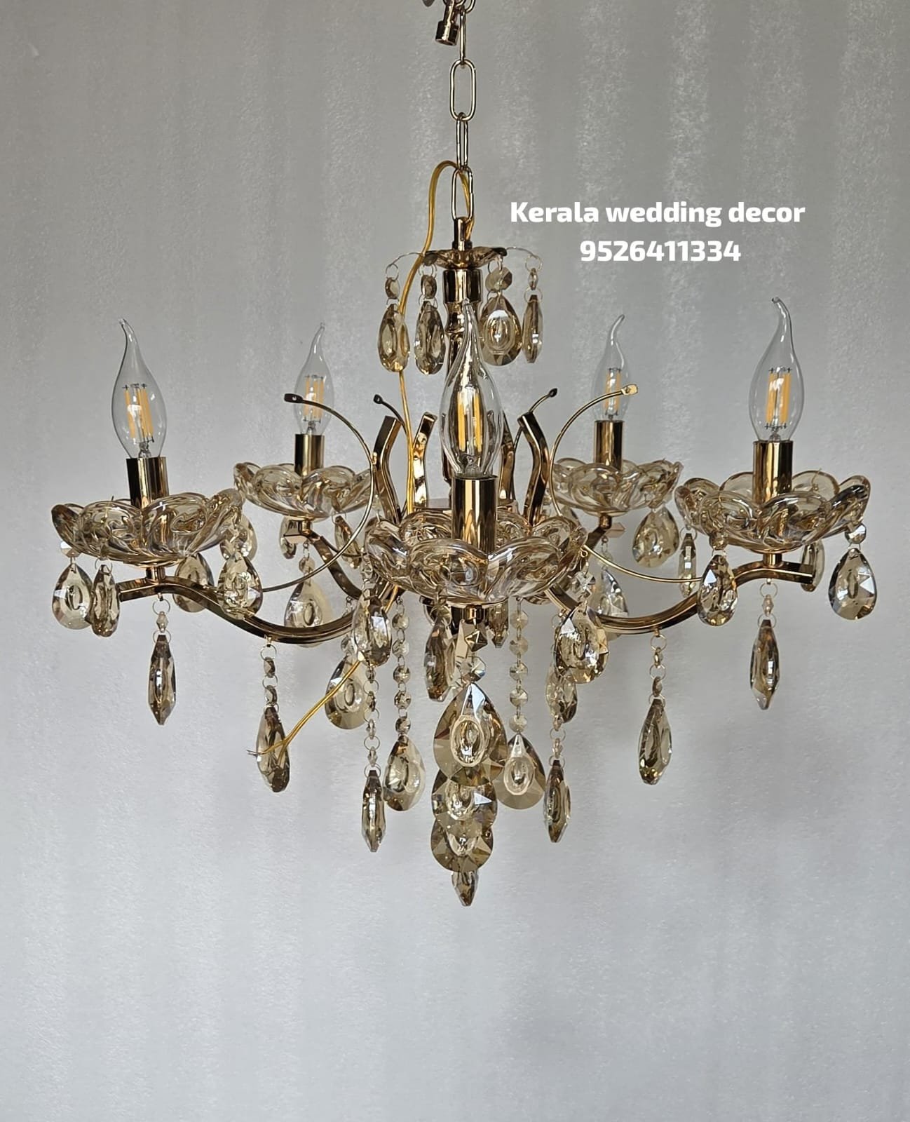 whatsapp image 2026 03 13 at 3.51.08 pm