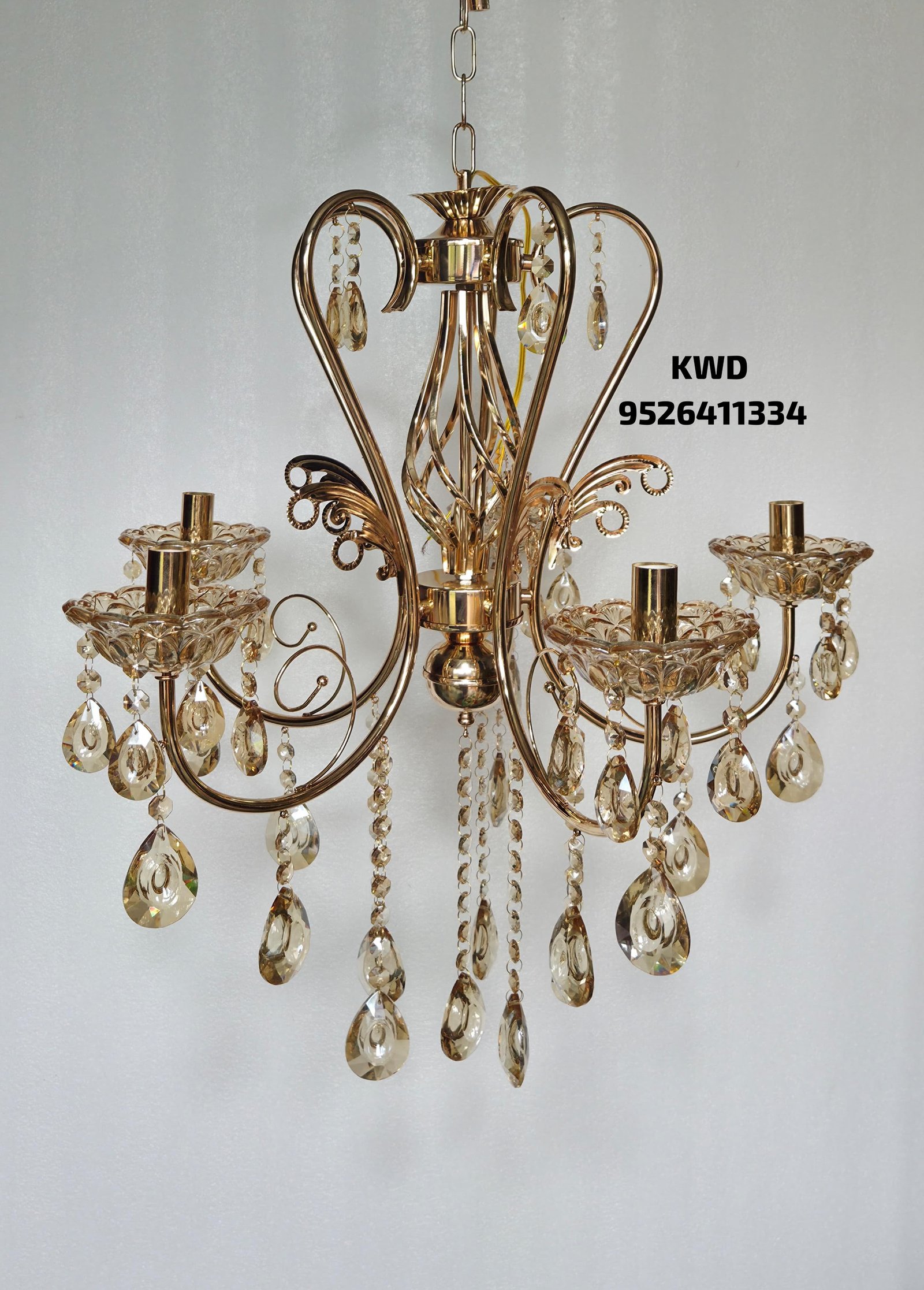 whatsapp image 2026 03 13 at 3.51.10 pm (1)