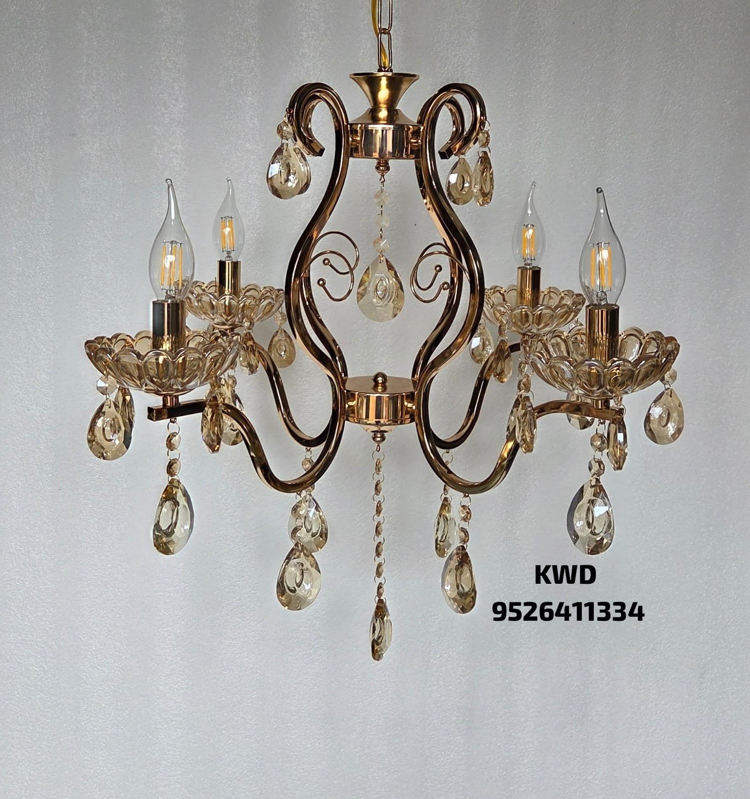 whatsapp image 2026 03 13 at 3.51.11 pm