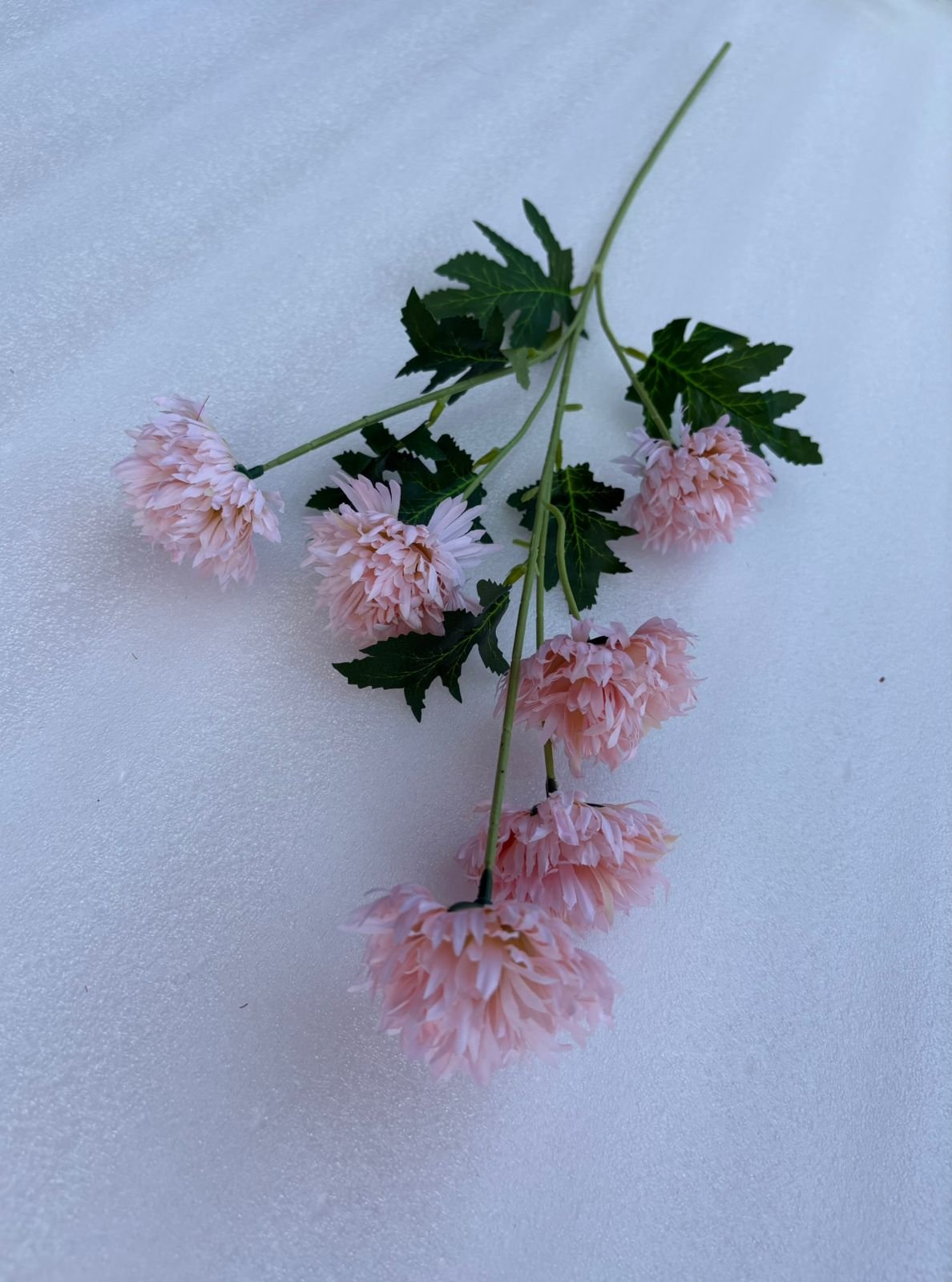 whatsapp image 2026 03 16 at 3.40.34 pm