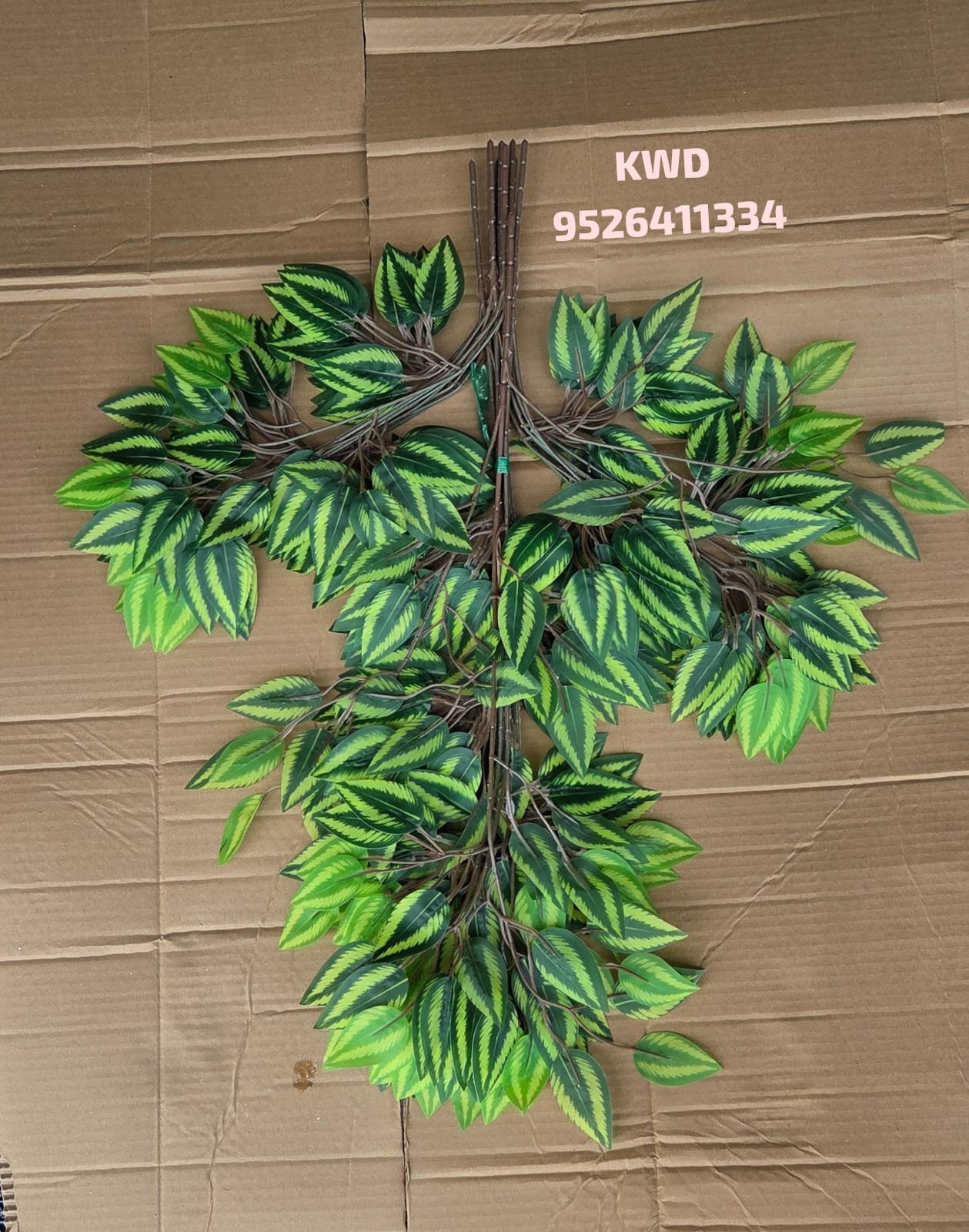 whatsapp image 2026 03 16 at 3.40.36 pm (1)