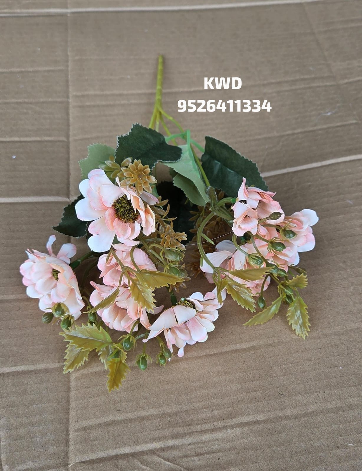 whatsapp image 2026 03 16 at 3.40.37 pm (1)