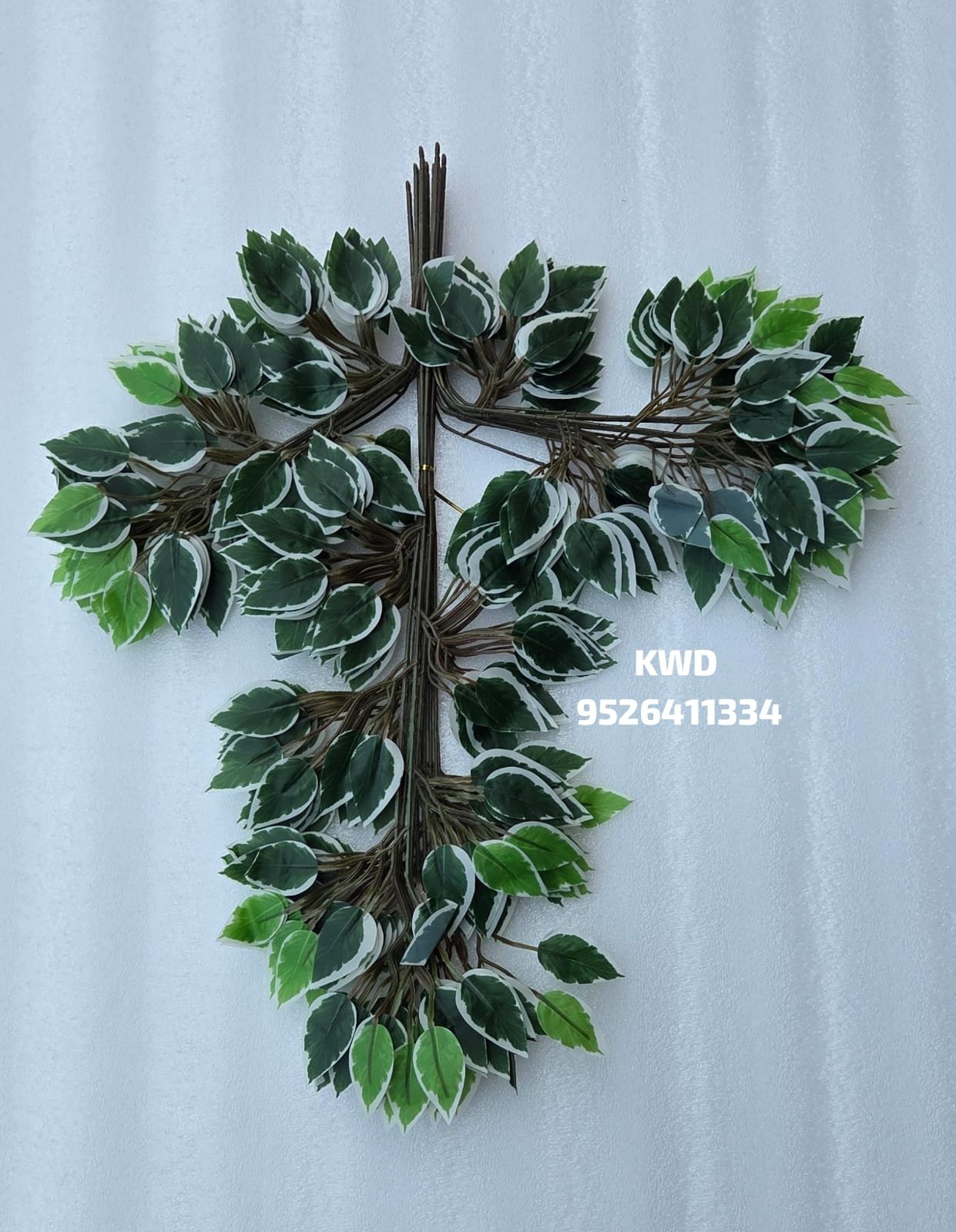 whatsapp image 2026 03 16 at 3.40.37 pm