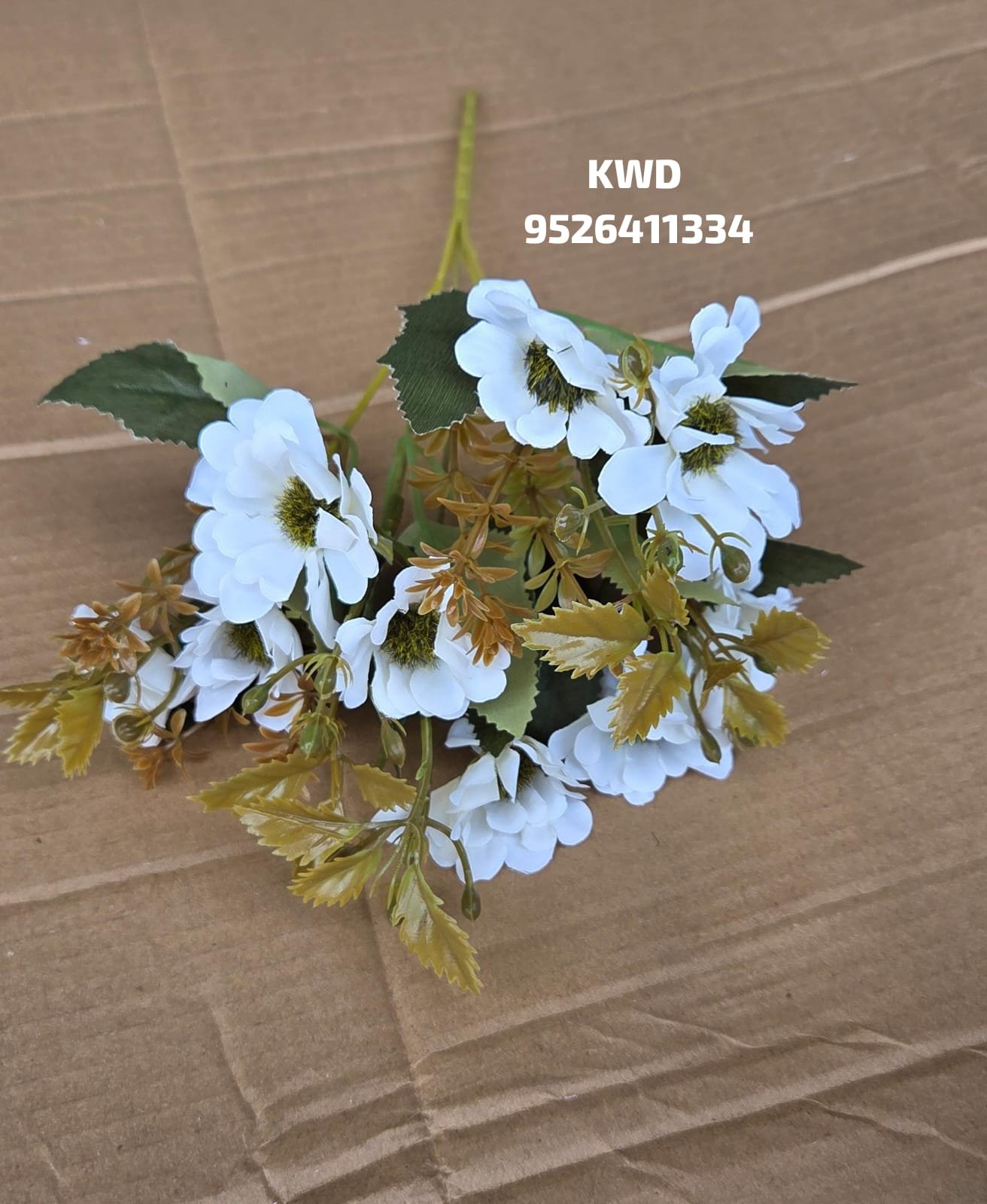 whatsapp image 2026 03 16 at 3.40.39 pm