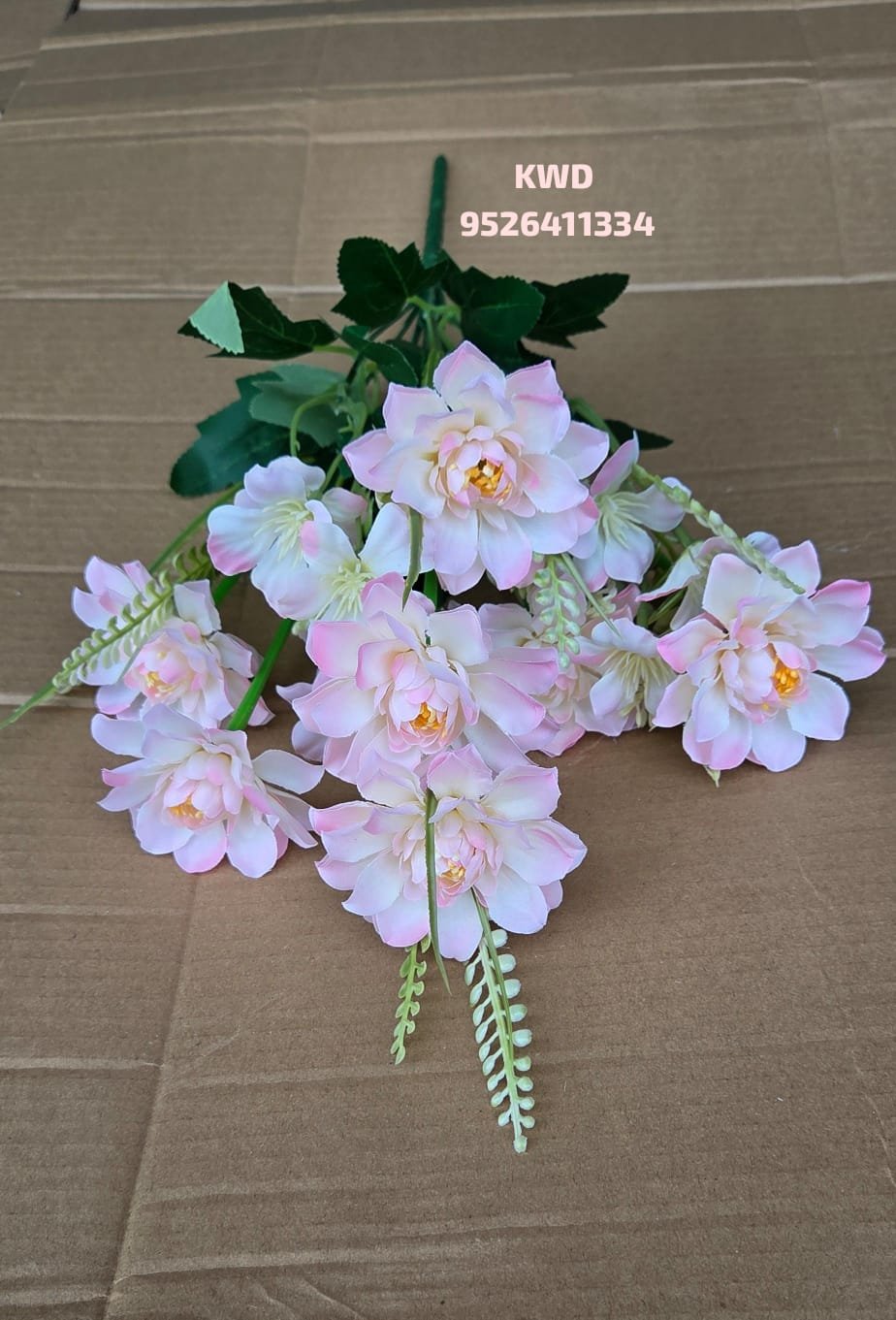 whatsapp image 2026 03 16 at 3.40.41 pm