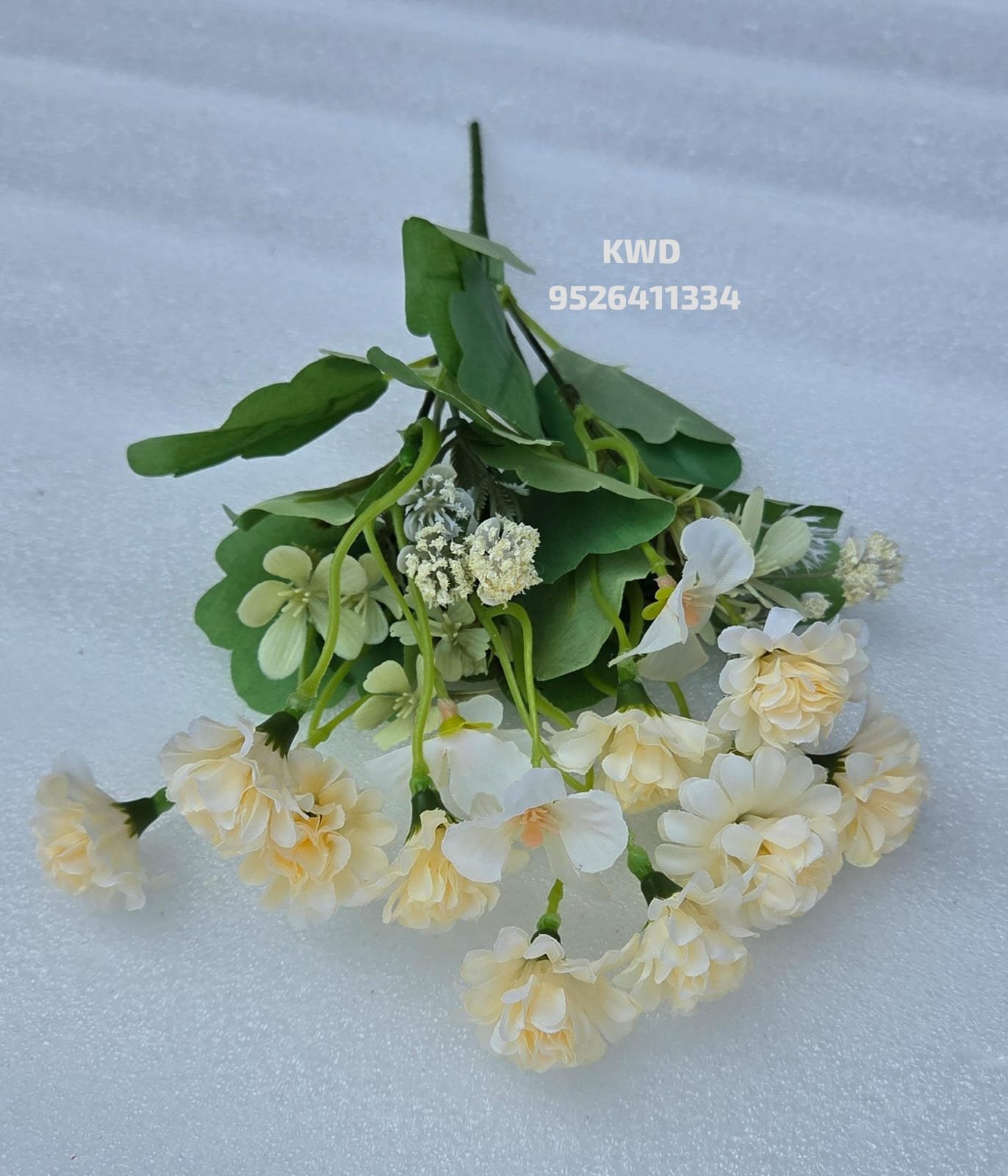 whatsapp image 2026 03 16 at 3.40.49 pm (1)