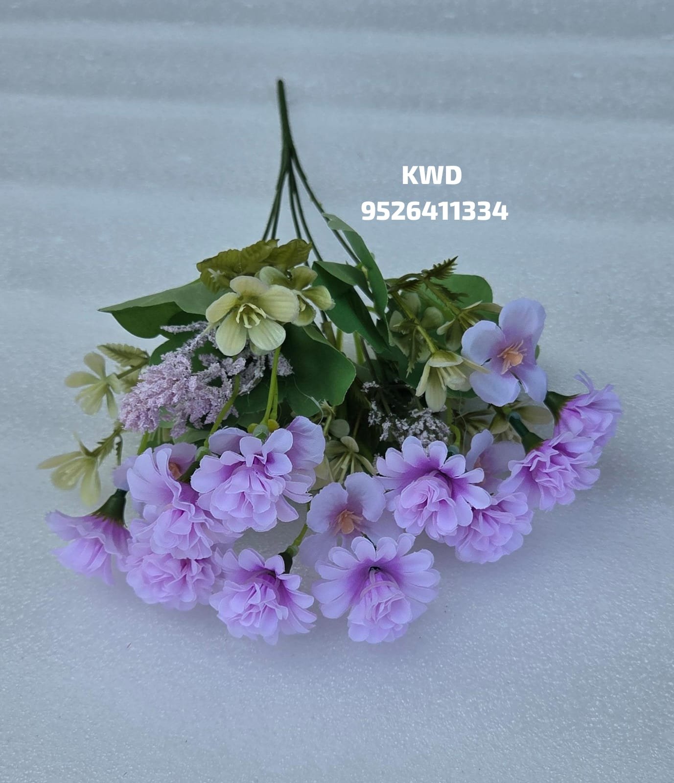 whatsapp image 2026 03 16 at 3.40.50 pm (1)