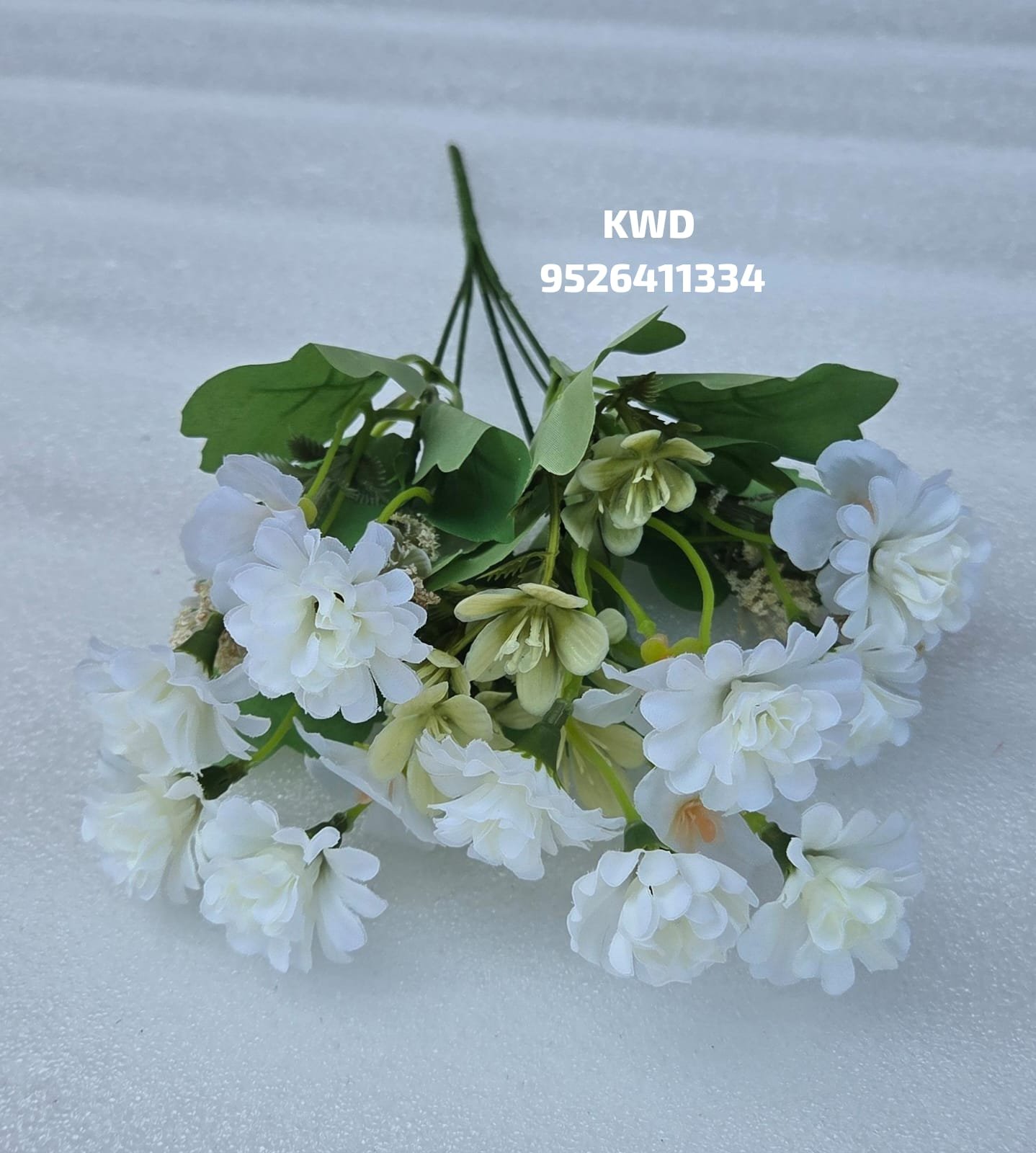 whatsapp image 2026 03 16 at 3.40.50 pm