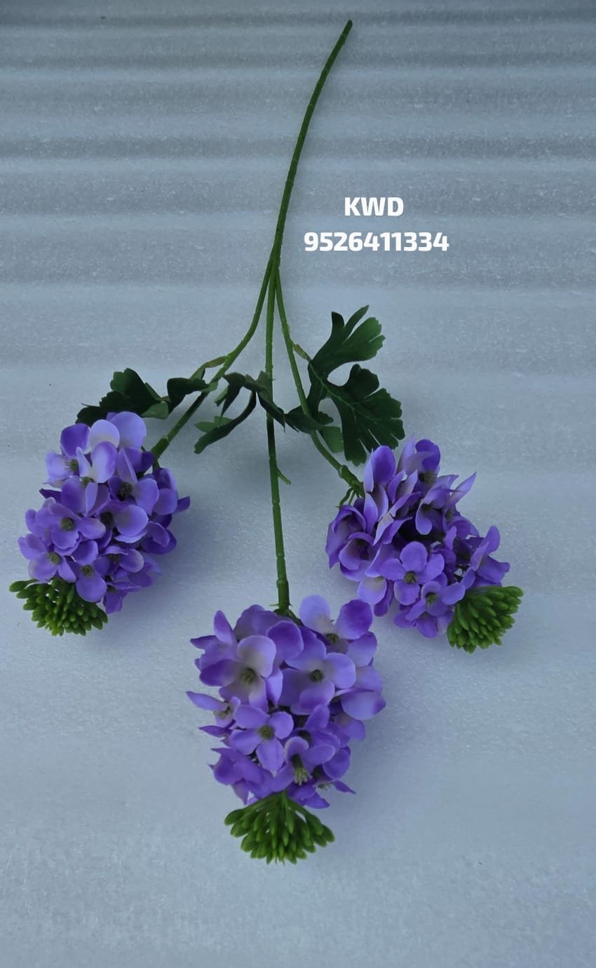 whatsapp image 2026 03 16 at 3.40.51 pm