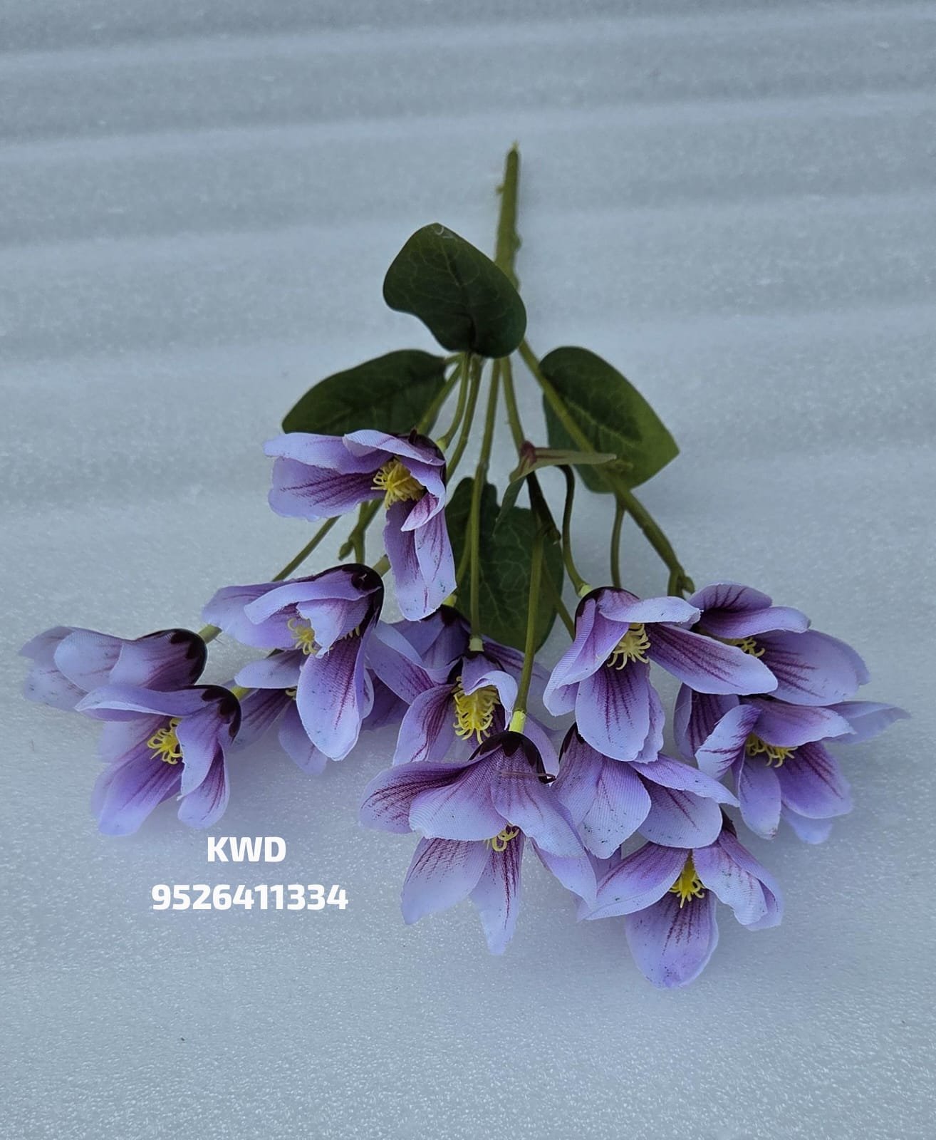 whatsapp image 2026 03 16 at 3.40.52 pm