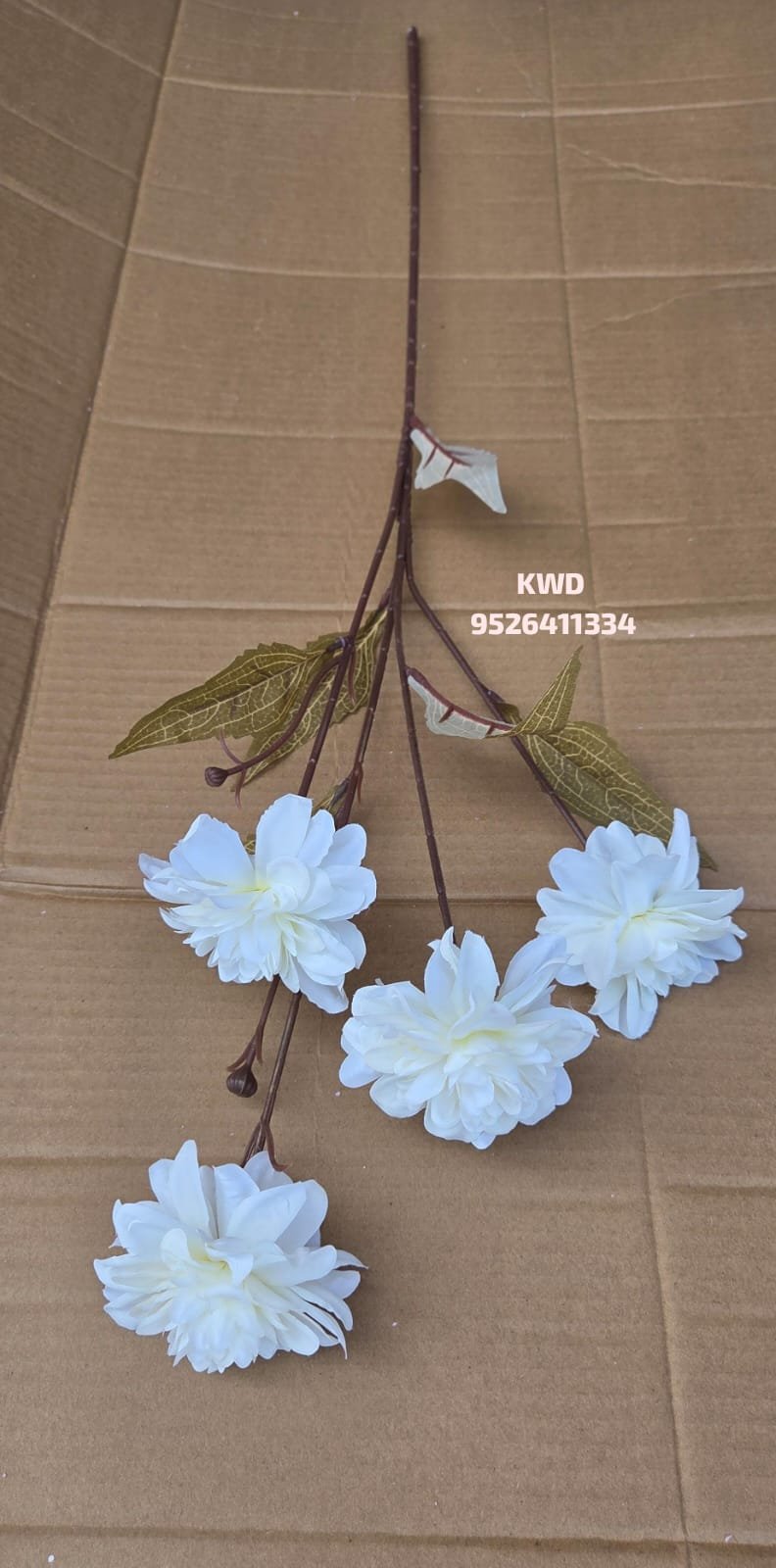 whatsapp image 2026 03 16 at 3.40.53 pm