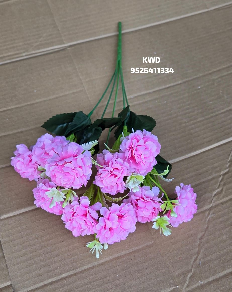 whatsapp image 2026 03 16 at 3.40.55 pm (1)