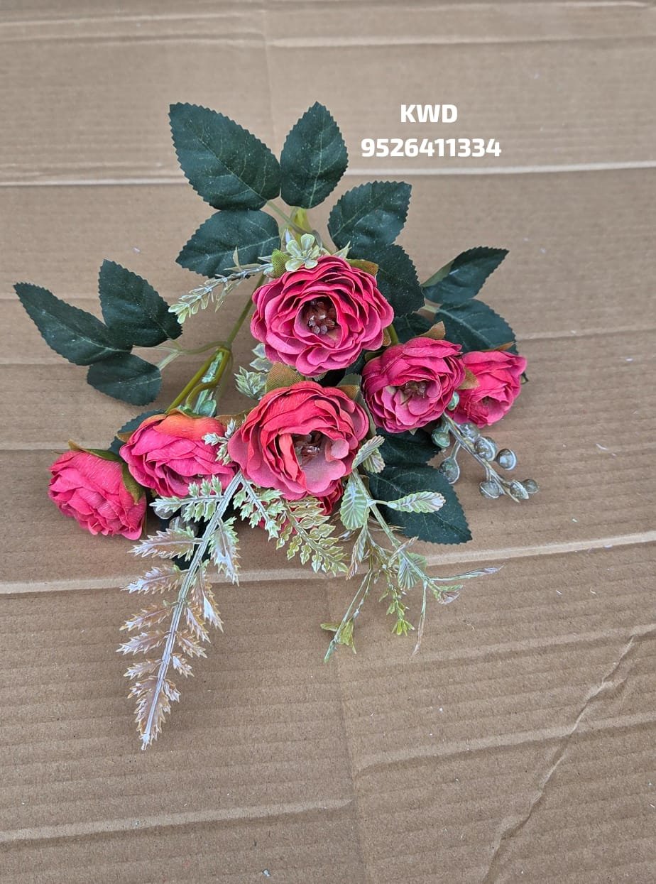 whatsapp image 2026 03 16 at 3.40.56 pm