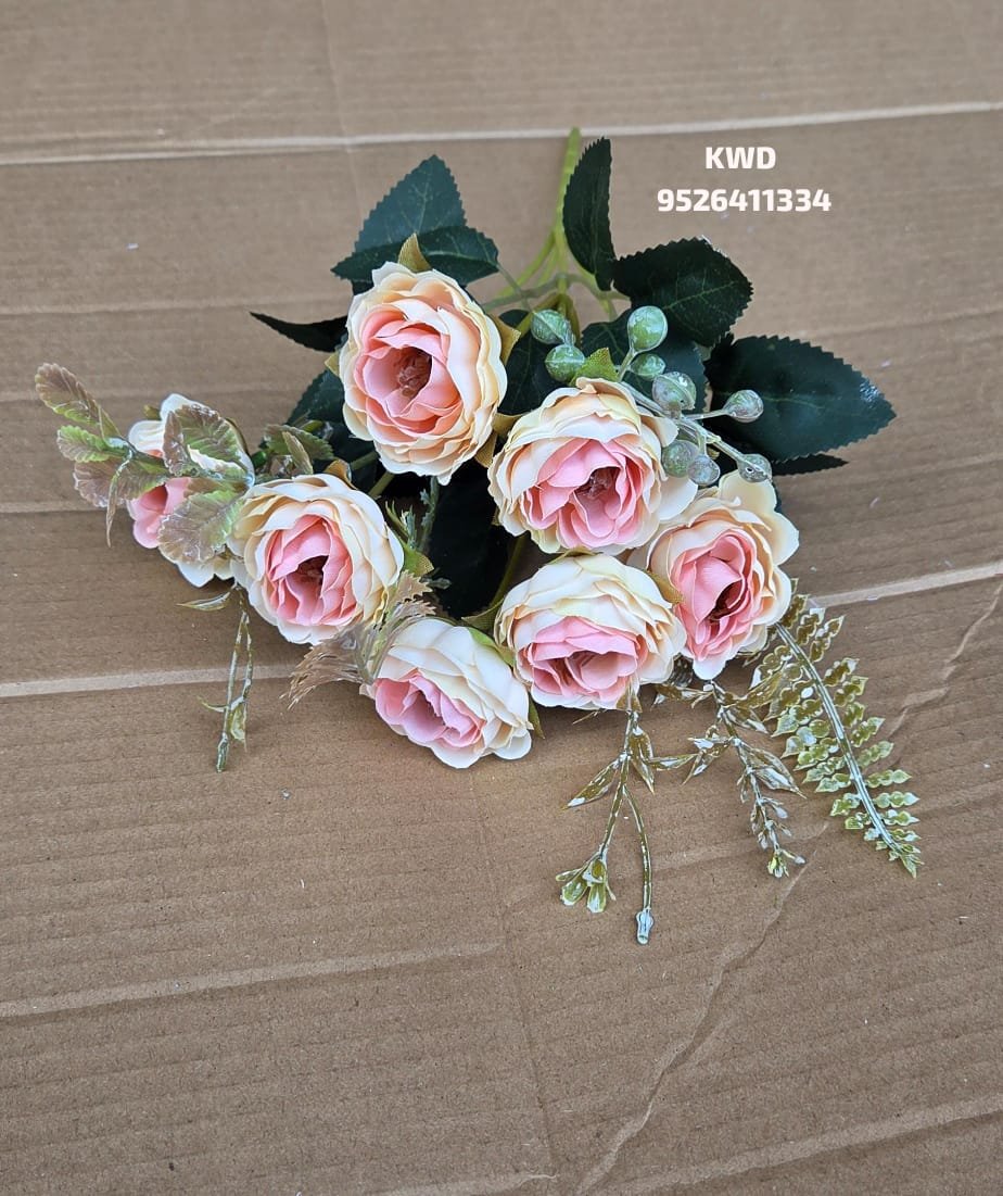 whatsapp image 2026 03 16 at 3.40.57 pm (1)