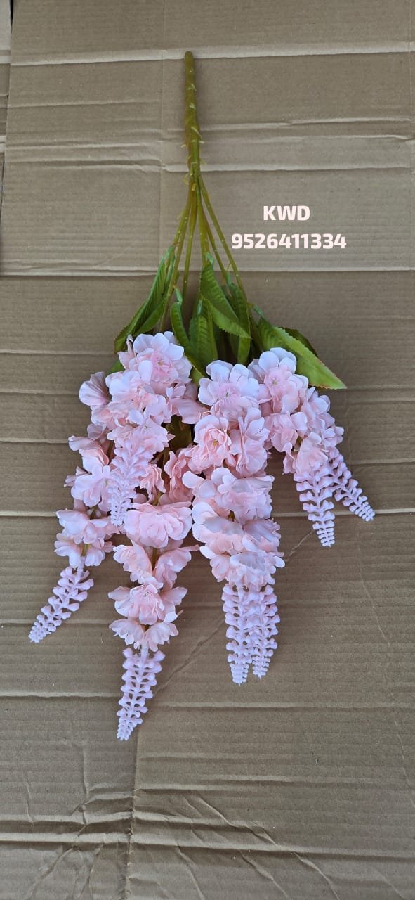 whatsapp image 2026 03 16 at 3.40.57 pm