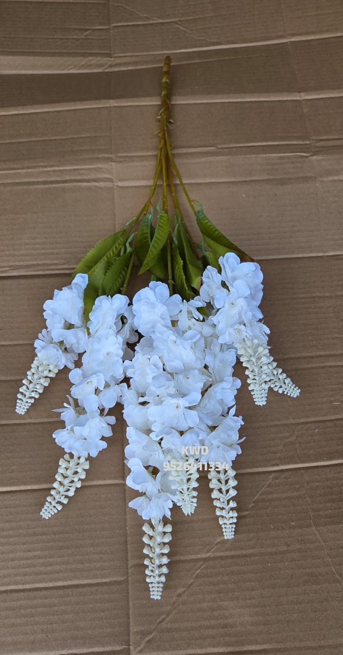 whatsapp image 2026 03 16 at 3.40.58 pm