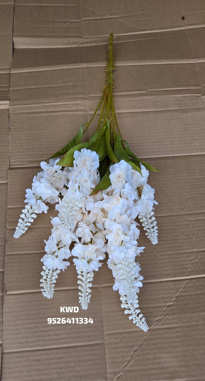 whatsapp image 2026 03 16 at 3.40.59 pm (1)