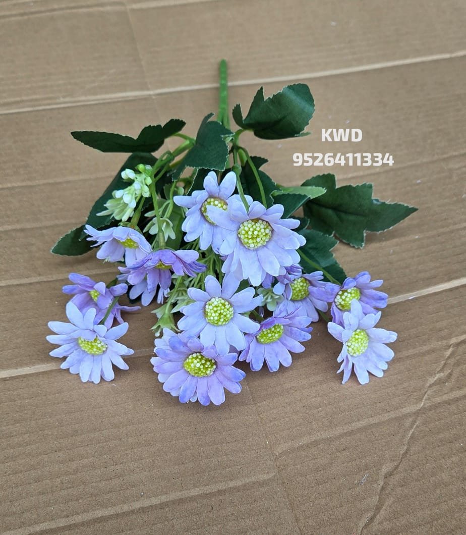 whatsapp image 2026 03 16 at 3.40.59 pm