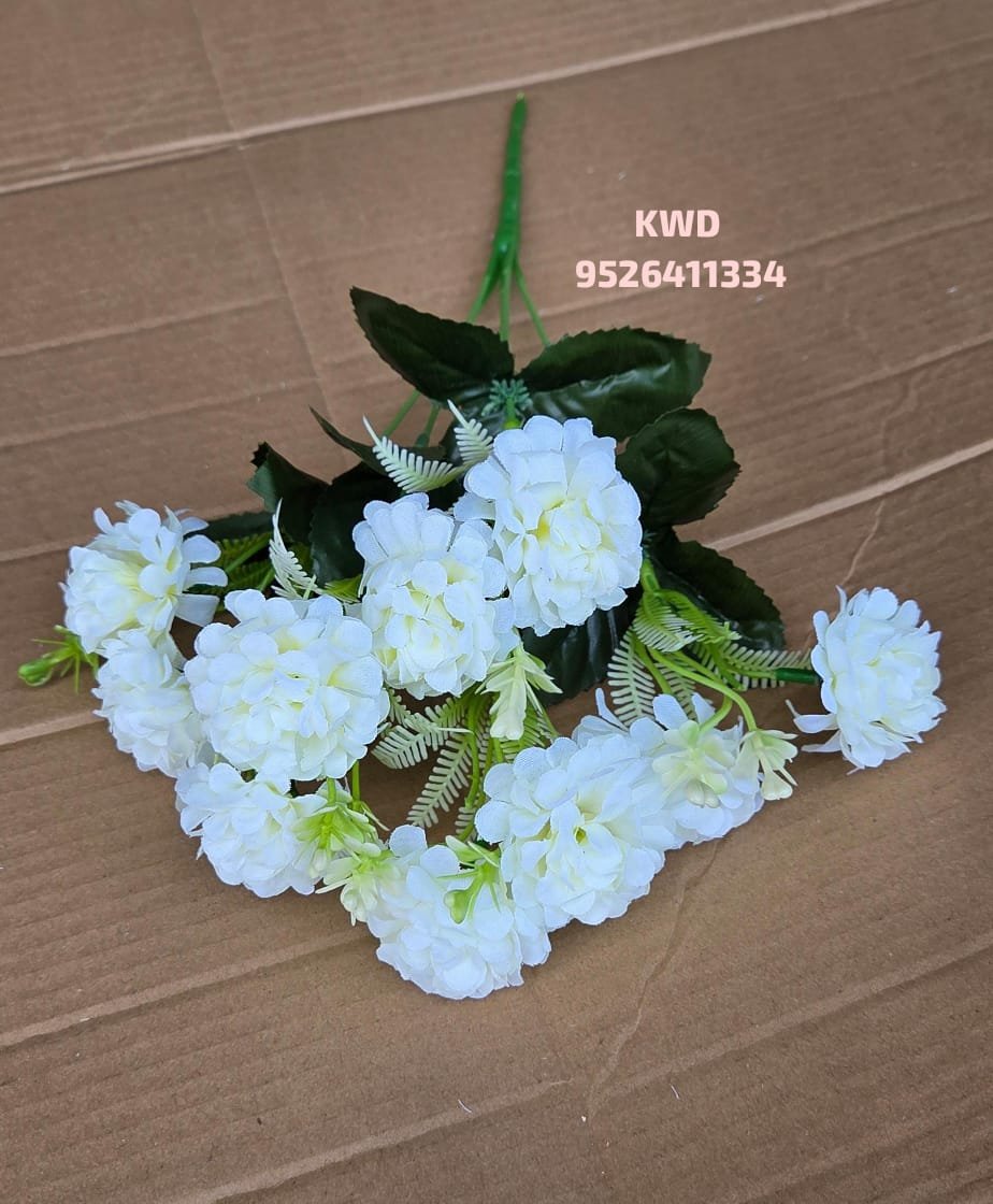 whatsapp image 2026 03 16 at 3.41.00 pm