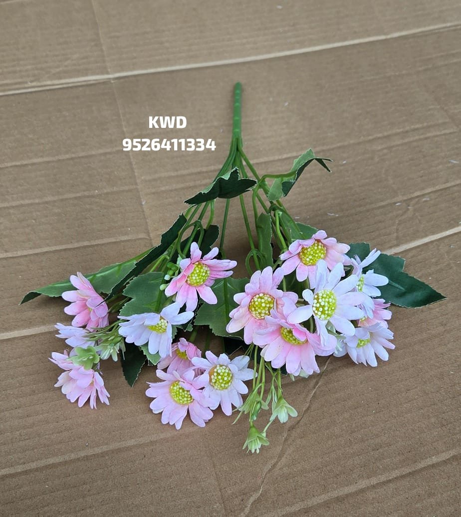 whatsapp image 2026 03 16 at 3.41.02 pm (1)