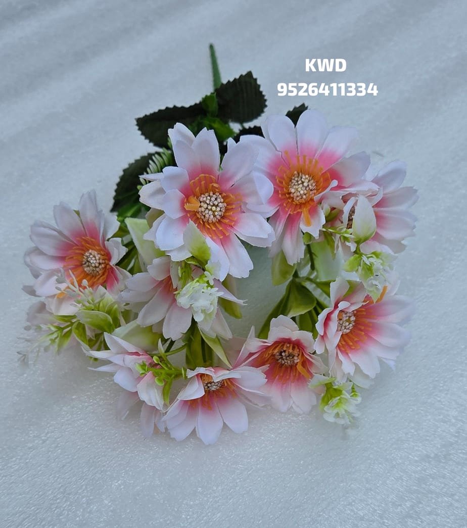 whatsapp image 2026 03 16 at 3.41.02 pm (2)