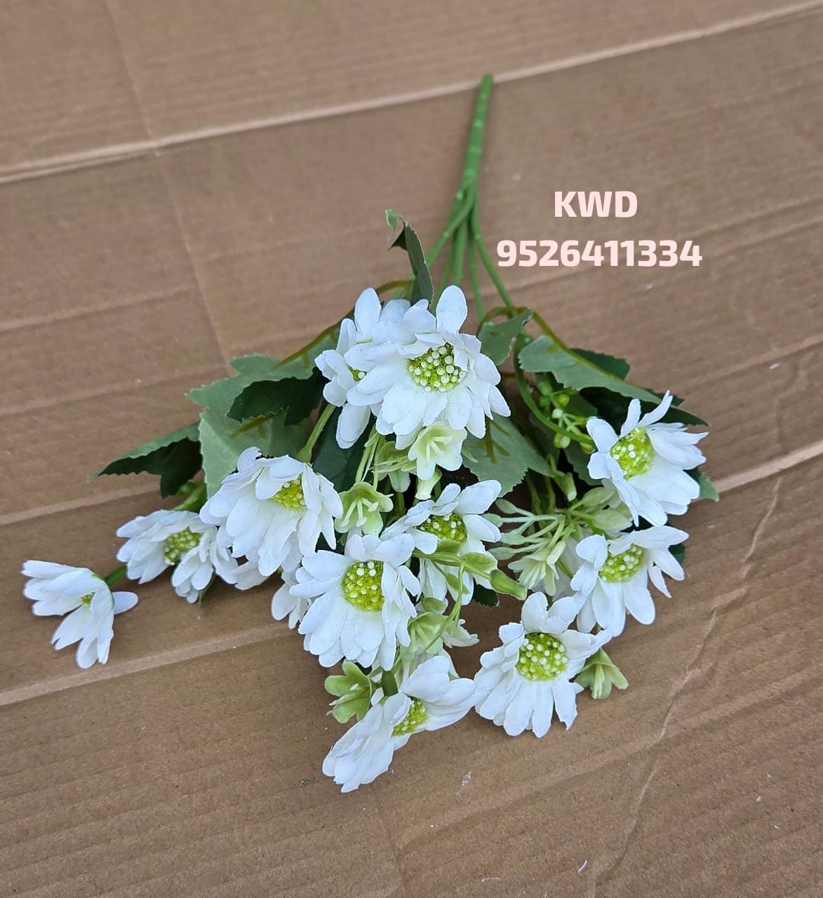 whatsapp image 2026 03 16 at 3.41.02 pm