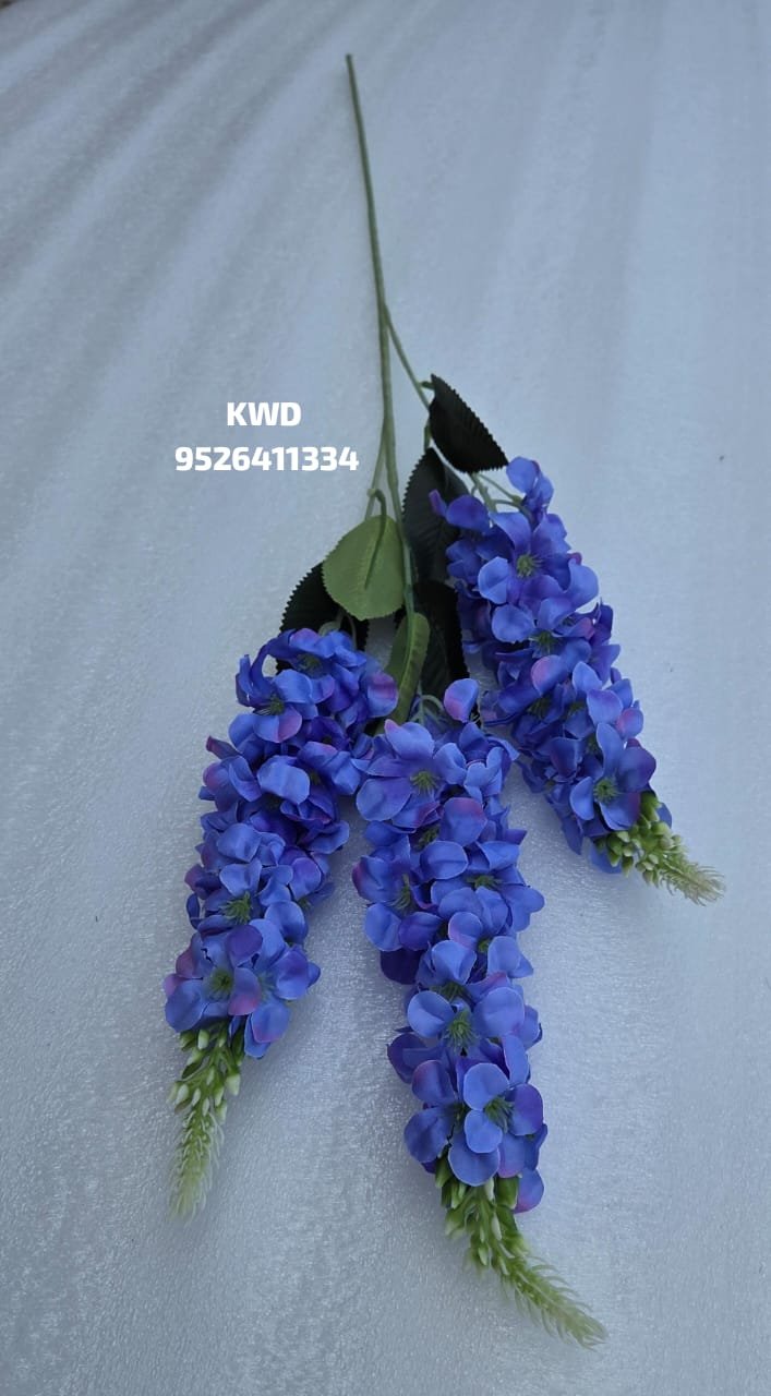 whatsapp image 2026 03 16 at 3.41.03 pm