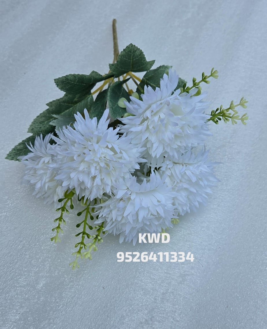 whatsapp image 2026 03 16 at 3.41.04 pm