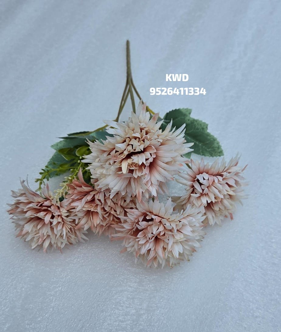 whatsapp image 2026 03 16 at 3.41.05 pm