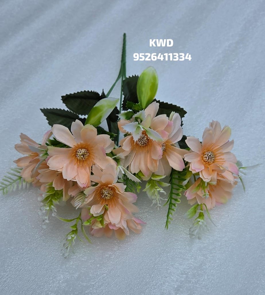 whatsapp image 2026 03 16 at 3.41.06 pm (1)