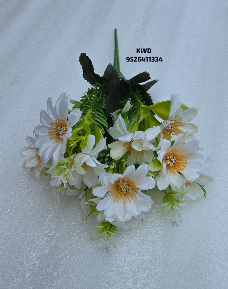 whatsapp image 2026 03 16 at 3.41.06 pm