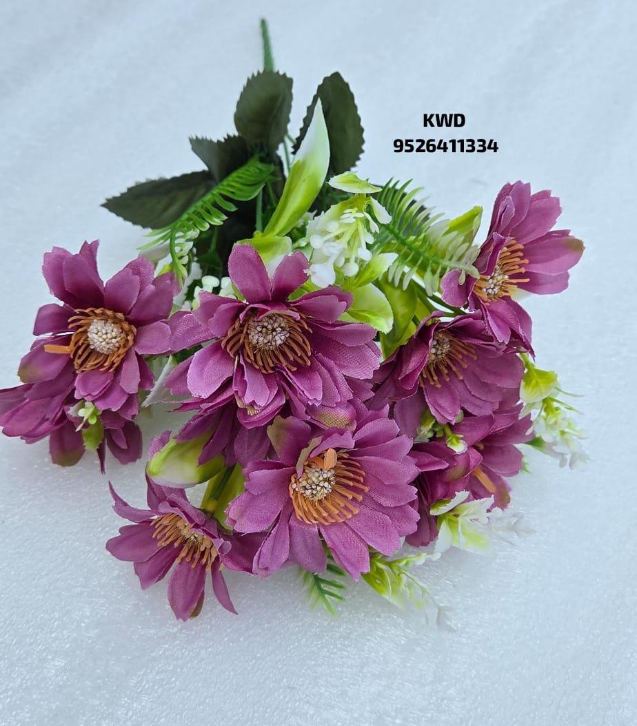 whatsapp image 2026 03 16 at 3.41.07 pm