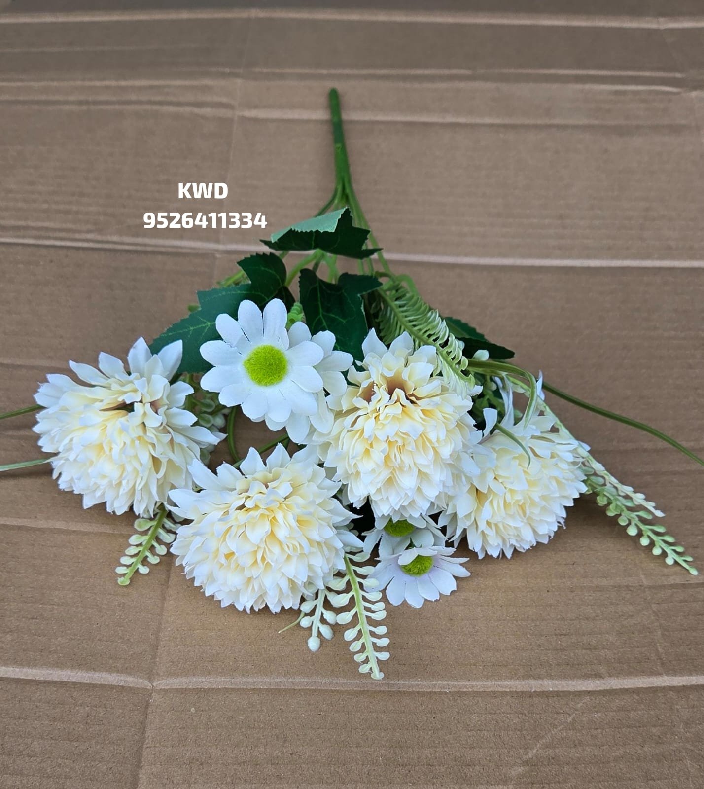 whatsapp image 2026 03 16 at 3.41.11 pm (1)