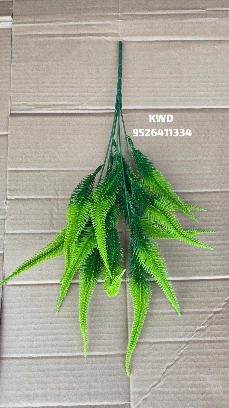 whatsapp image 2026 03 16 at 3.41.18 pm