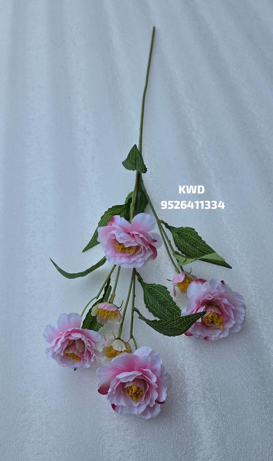 whatsapp image 2026 03 16 at 3.41.19 pm (1)