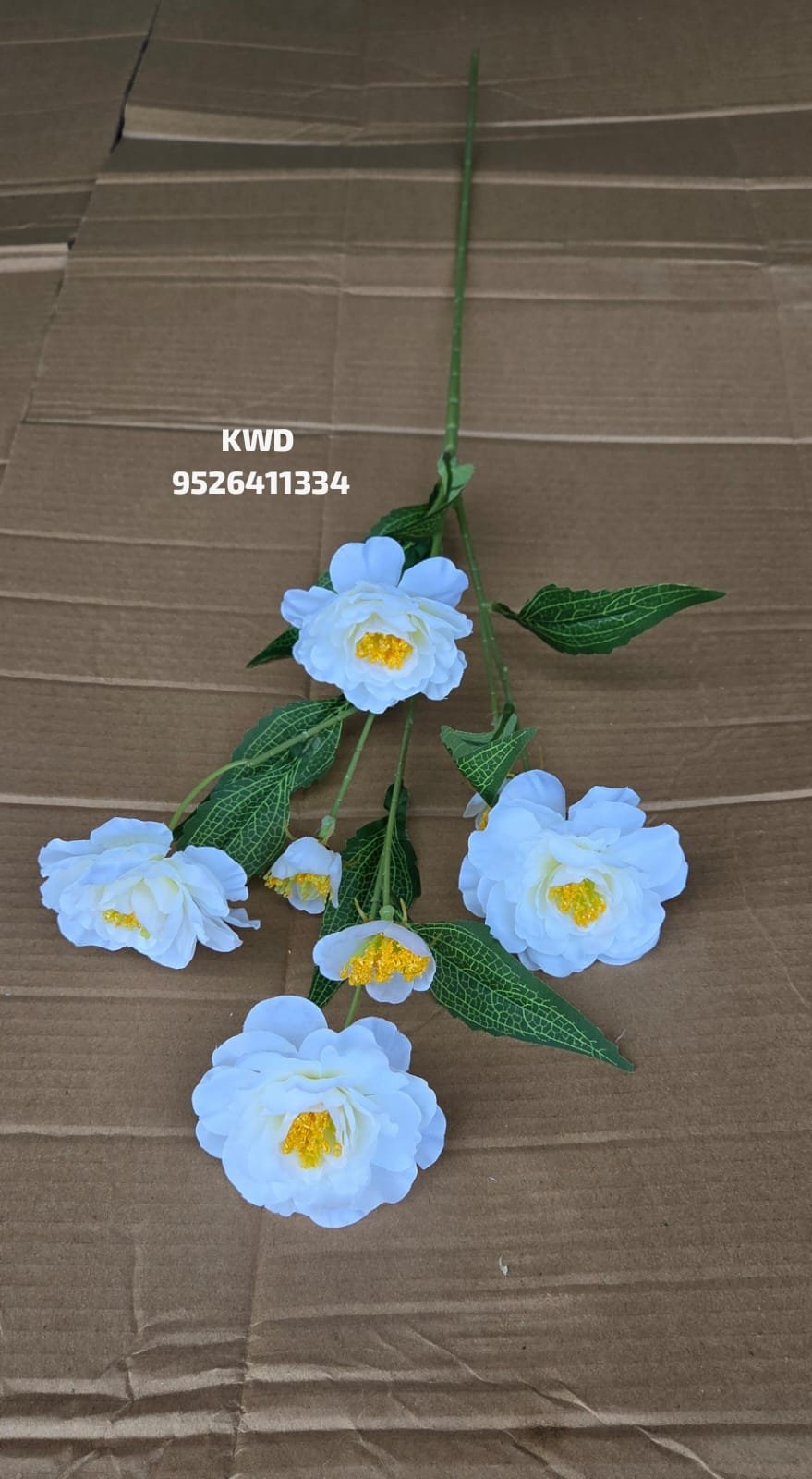 whatsapp image 2026 03 16 at 3.41.19 pm